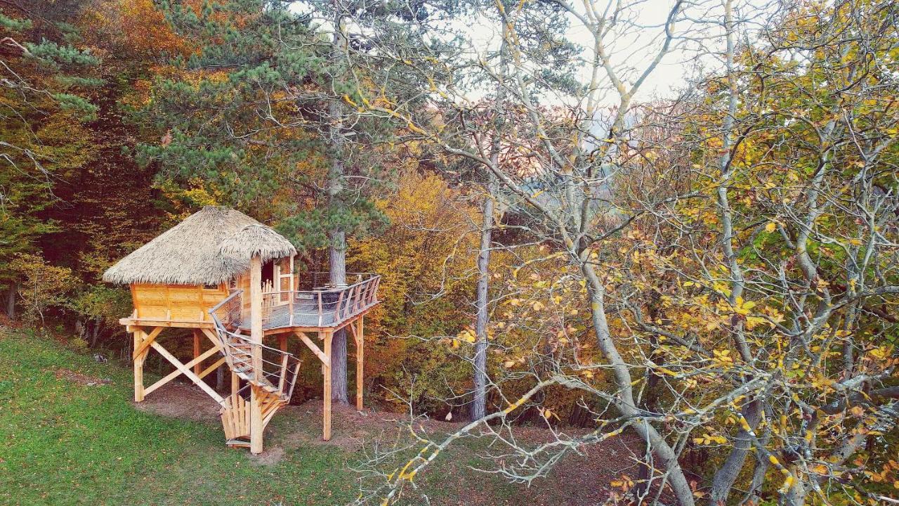 Pine Point Hotel Trencianske Teplice Bagian luar foto